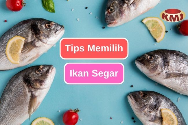 9 Tips Penting untuk Memilih Ikan Segar